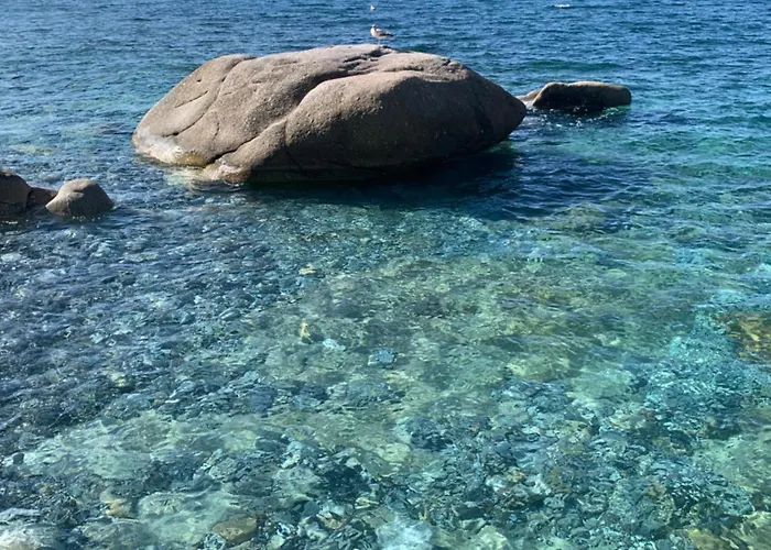 Bilocale Pianosa - Riservato E Fresco A 10 M Dal Mare * Pomonte