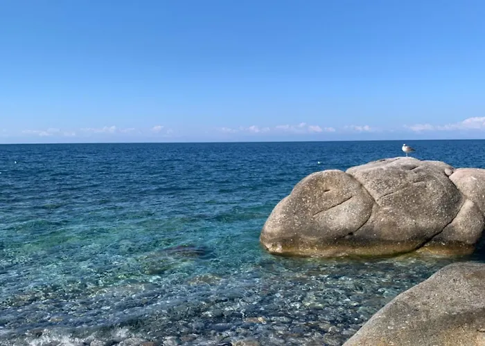 Apartman Bilocale Pianosa - Riservato E Fresco A 10 M Dal Mare