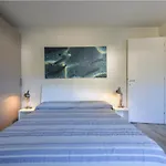 公寓 Bilocale Pianosa - Riservato E Fresco A 10 M Dal Mare 波蒙特